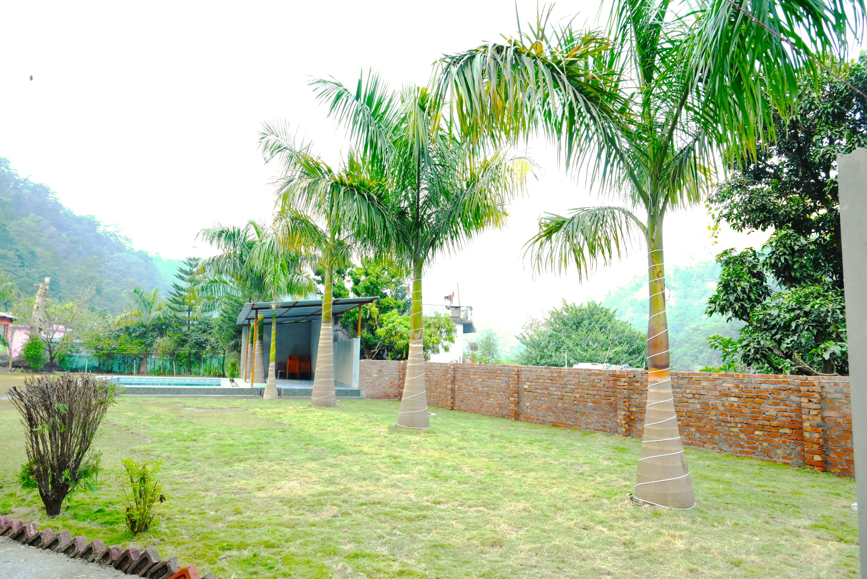 Wintry Mountain Landscape